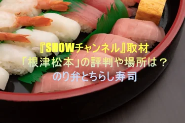 【SHOWチャンネル取材】『根津松本』の評判や場所は？のり弁とちらし寿司！