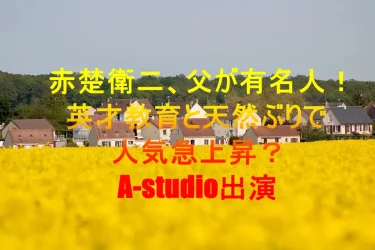 <strong>赤楚衛二</strong><strong>、父が有名人！</strong><strong>英才教育と天然ぶりで人気急上昇？A-studio出演</strong><strong></strong>