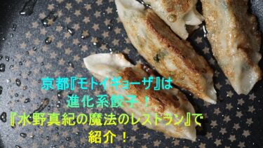 京都『モトイギョーザ』は進化系餃子！『水野真紀の魔法のレストラン』で紹介！