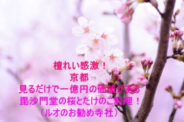 檀れい感激！京都、見るだけで一億円の価値がある毘沙門堂の桜とたけのこ料理！（ルオのお勧め寺社）